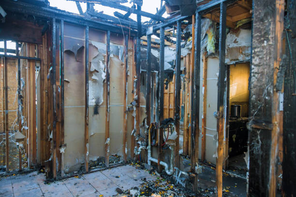Professional Fire Damage Removal technician working in Woodlawn, OH